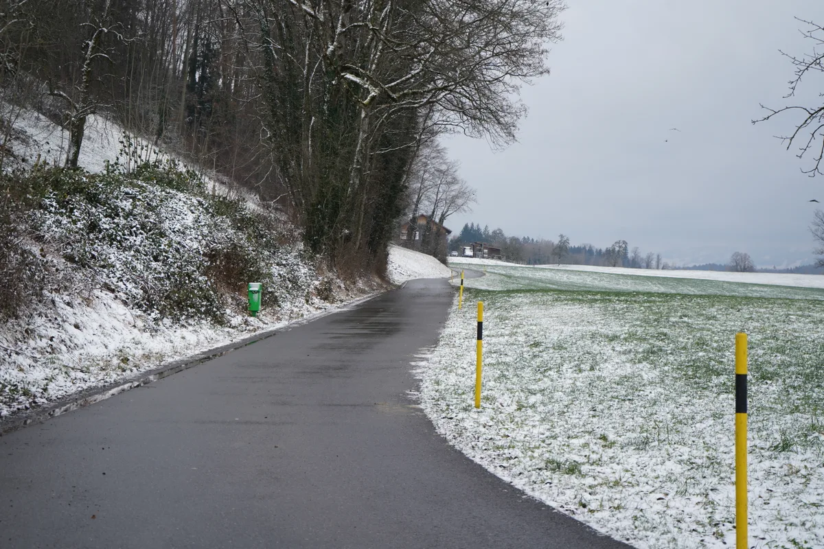 Eine schmale Strasse, die am Waldrand entlang durch eine Wiese führt.
